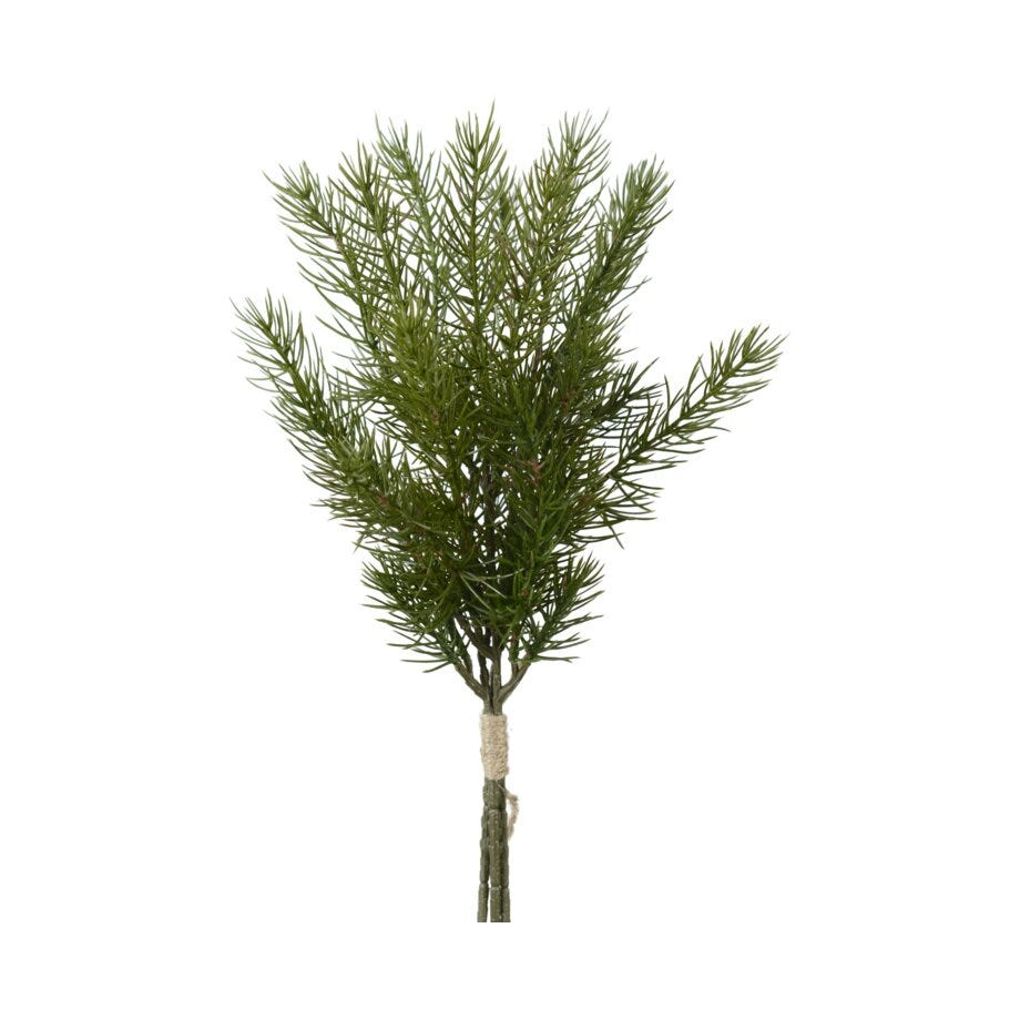 Mr Plant Gran