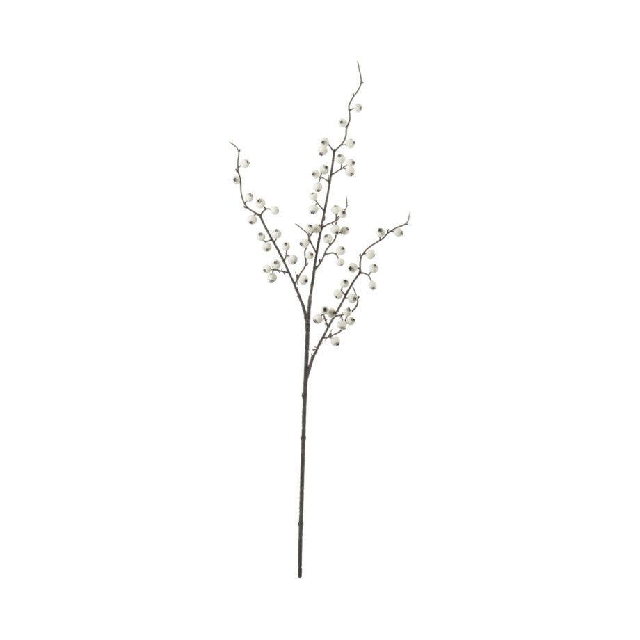 Mr Plant Bærkvist
