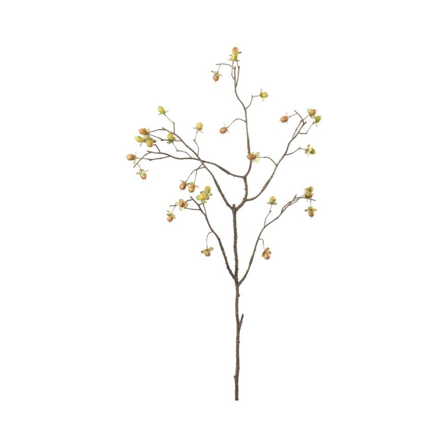 Mr Plant BÆRKVIST Kvist H55 cm i Gul