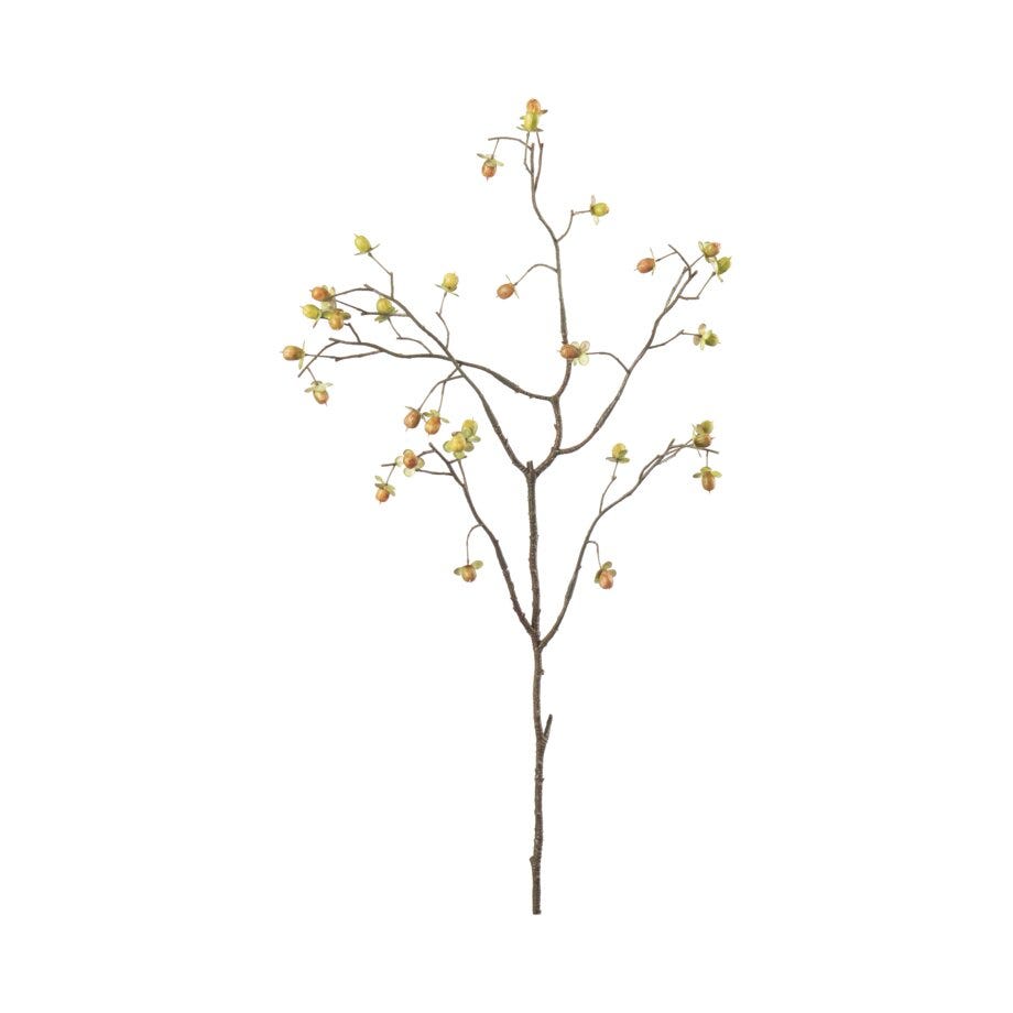 Mr Plant Bærkvist