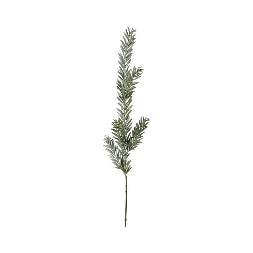 Mr Plant ROSMARIN Julekvist H90 cm i Grå