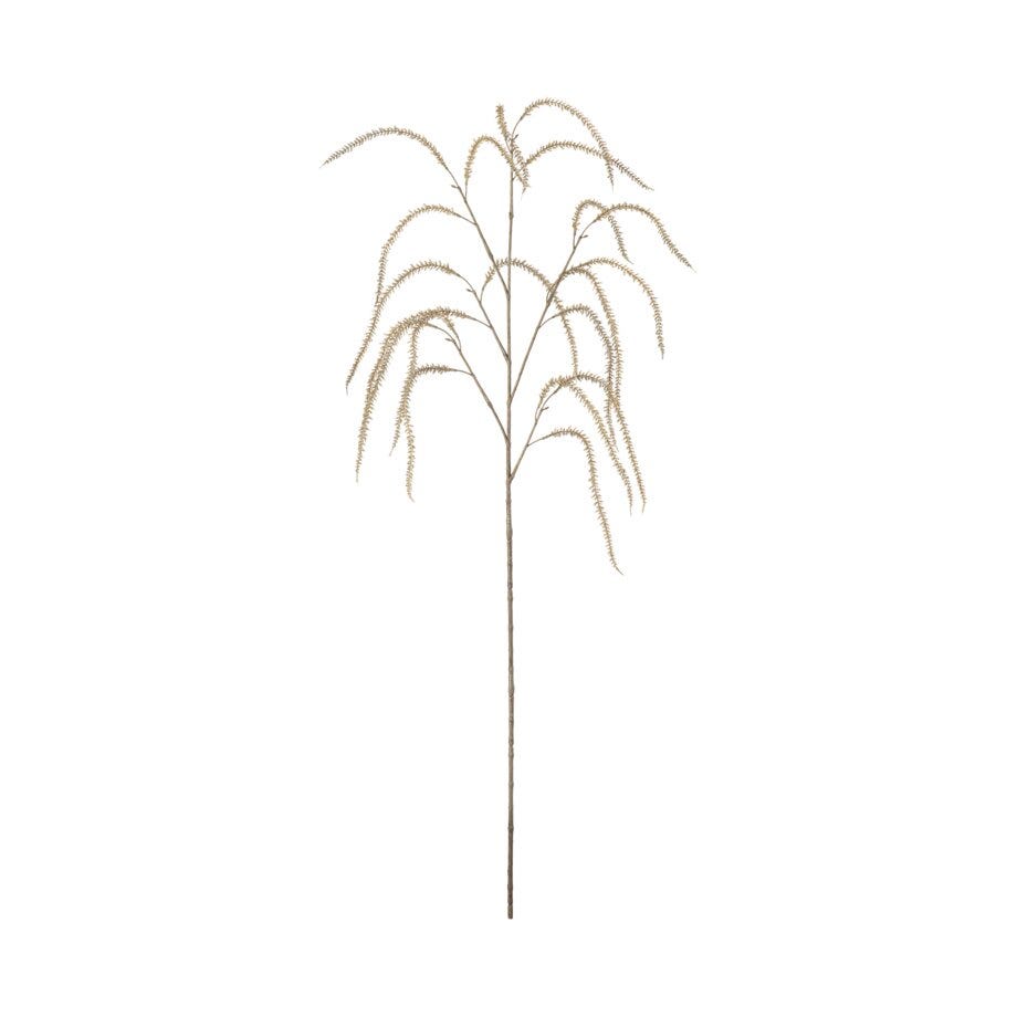 Mr Plant Amaranthus