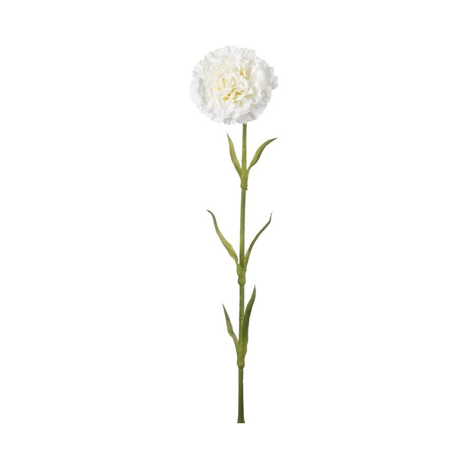 Mr Plant Nellik