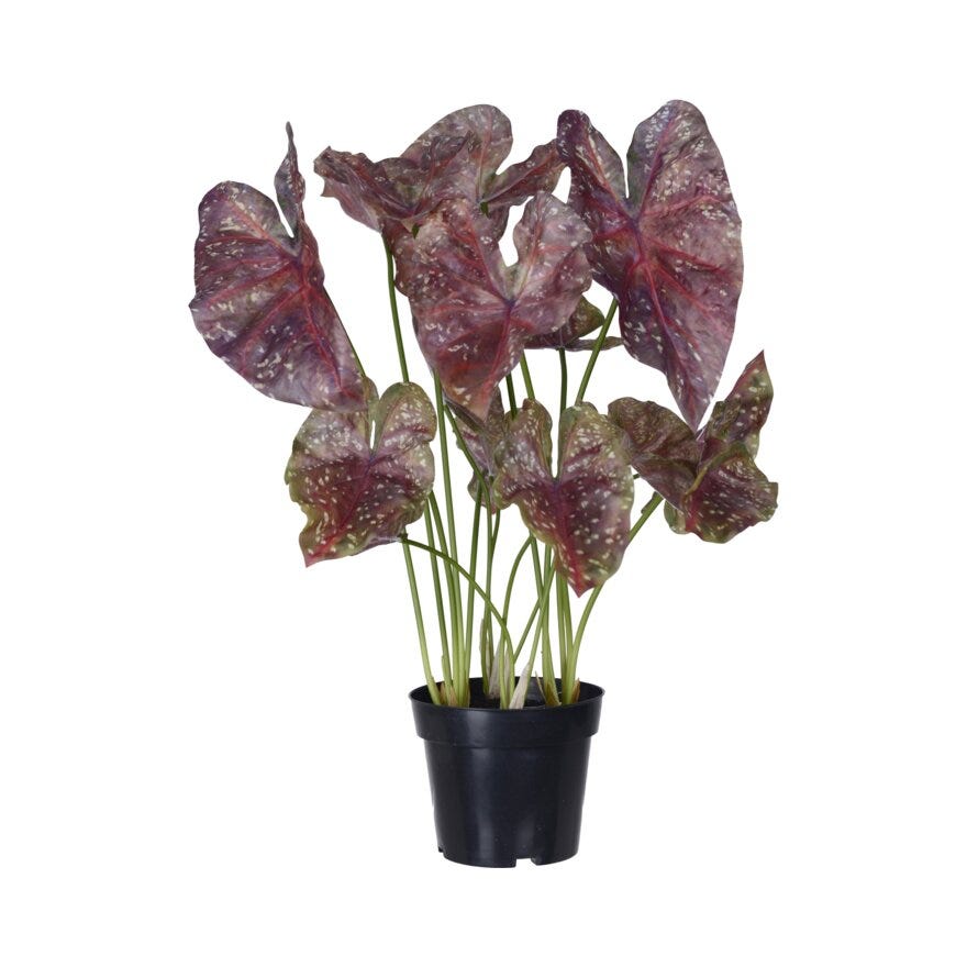 Mr Plant CALADIUM Kunstig plante H75 cm i Lilla