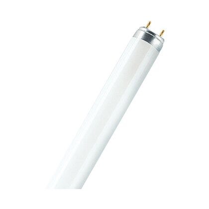 Osram lysrør