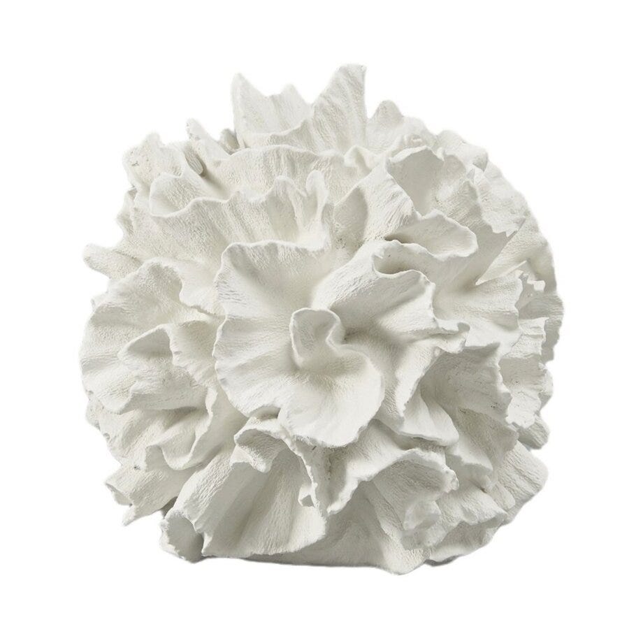 Holmen Coral