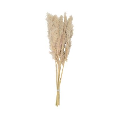 Pampas kunstig blomst H120