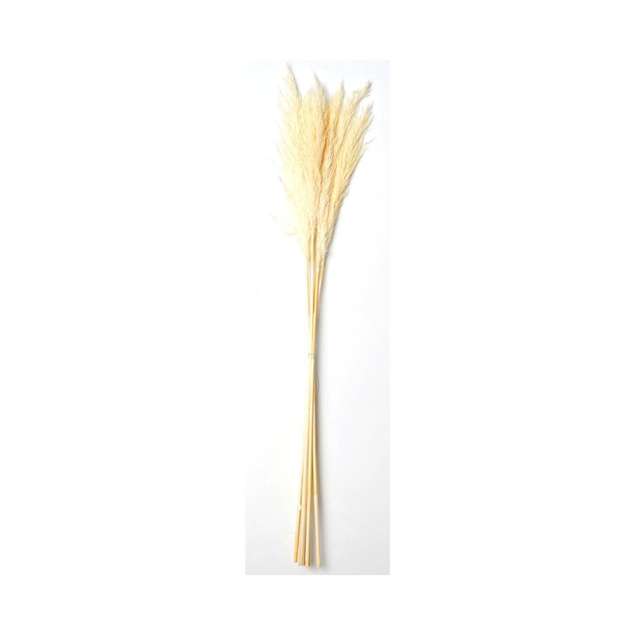 Pampas