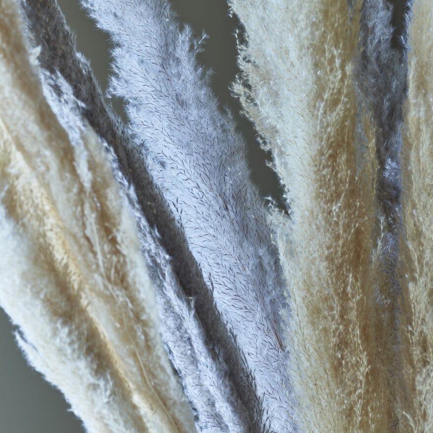 PAMPAS Tørket strå H120 cm i Beige/natur