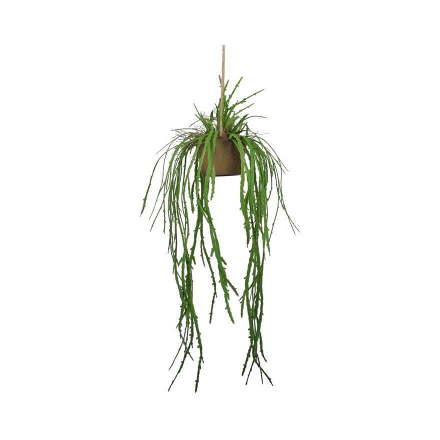 VERDE Hengeplante Ø cm i Grønn