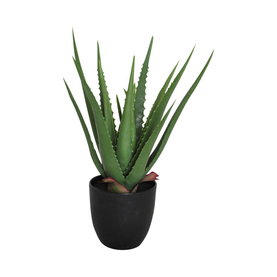 Viridis