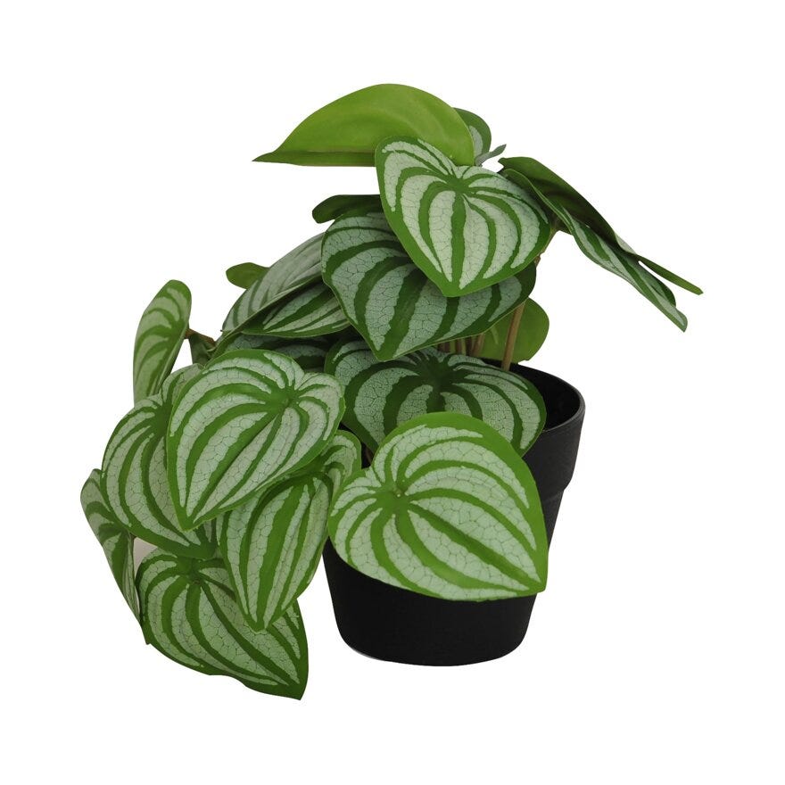 VIRIDIS Kunstig plante H22 cm i Grønn