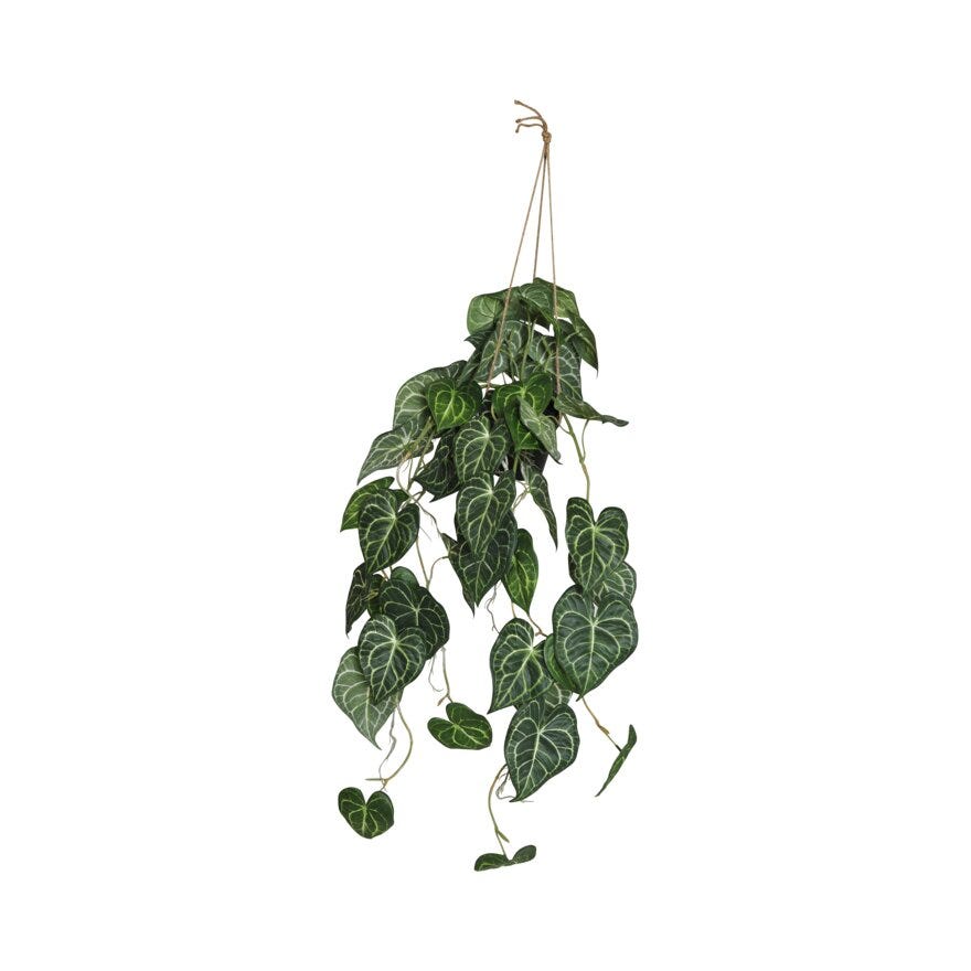 VIRIDIS Hengeplante H82 cm i Grønn