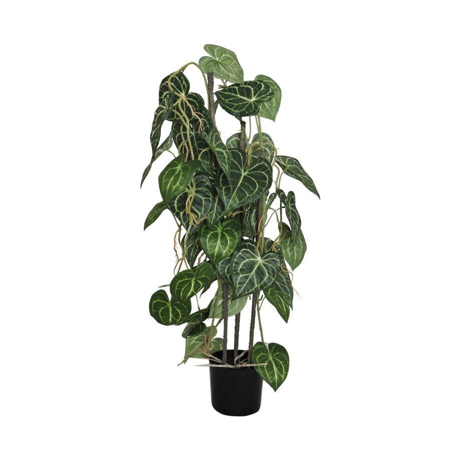Viridis