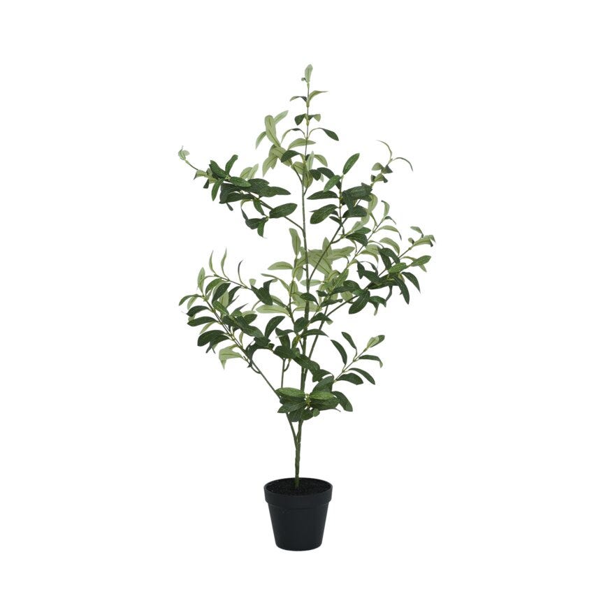 VIRIDIS Oliventre H84 cm i Grønn