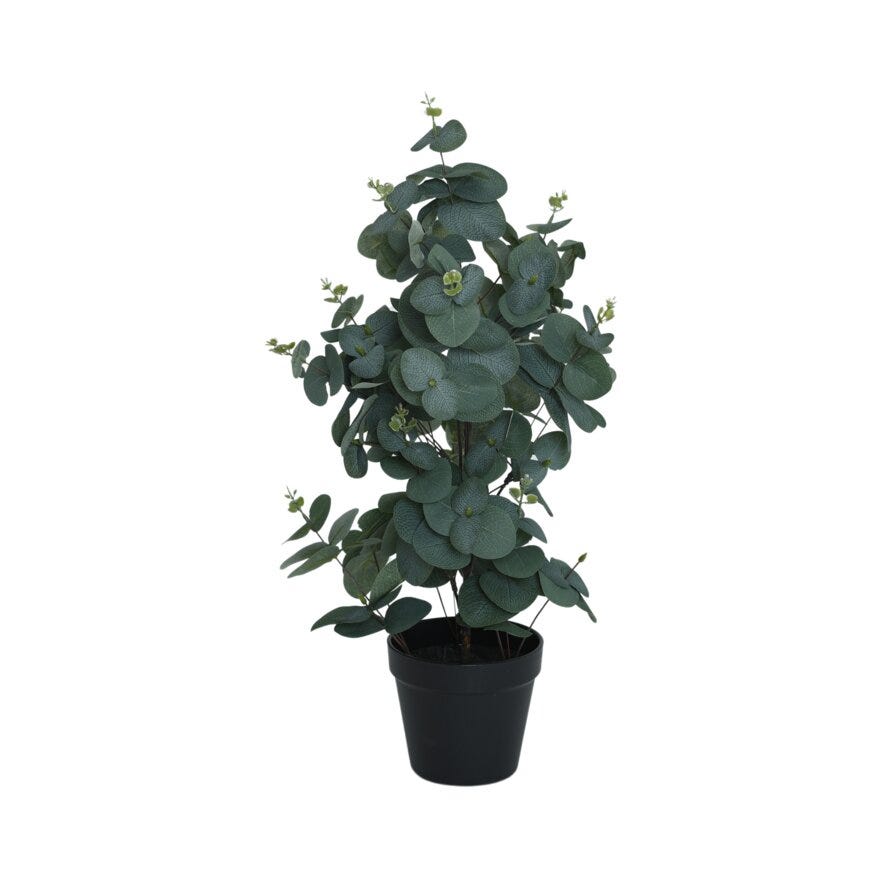 VIRIDIS Eucalyptus H54 cm i Grønn