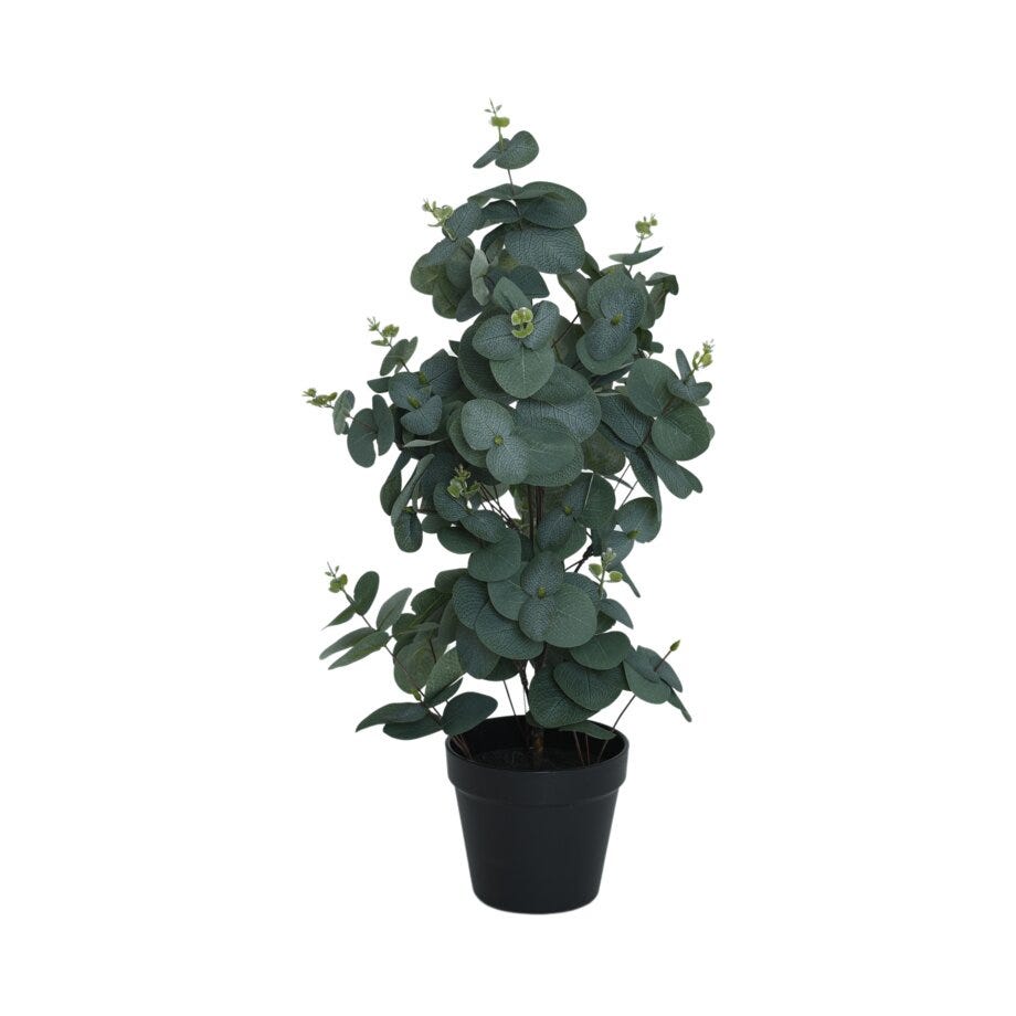 Viridis
