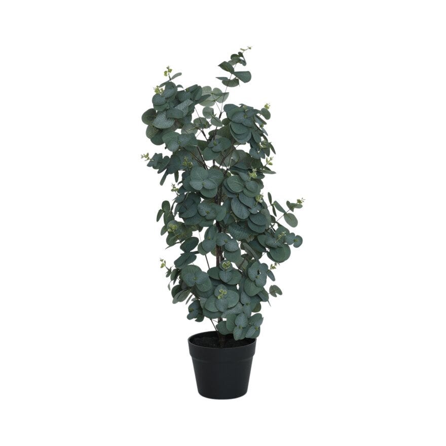 VIRIDIS Eucalyptus H78 cm i Grønn