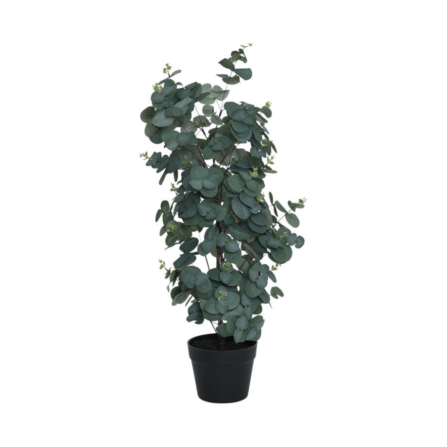 Viridis