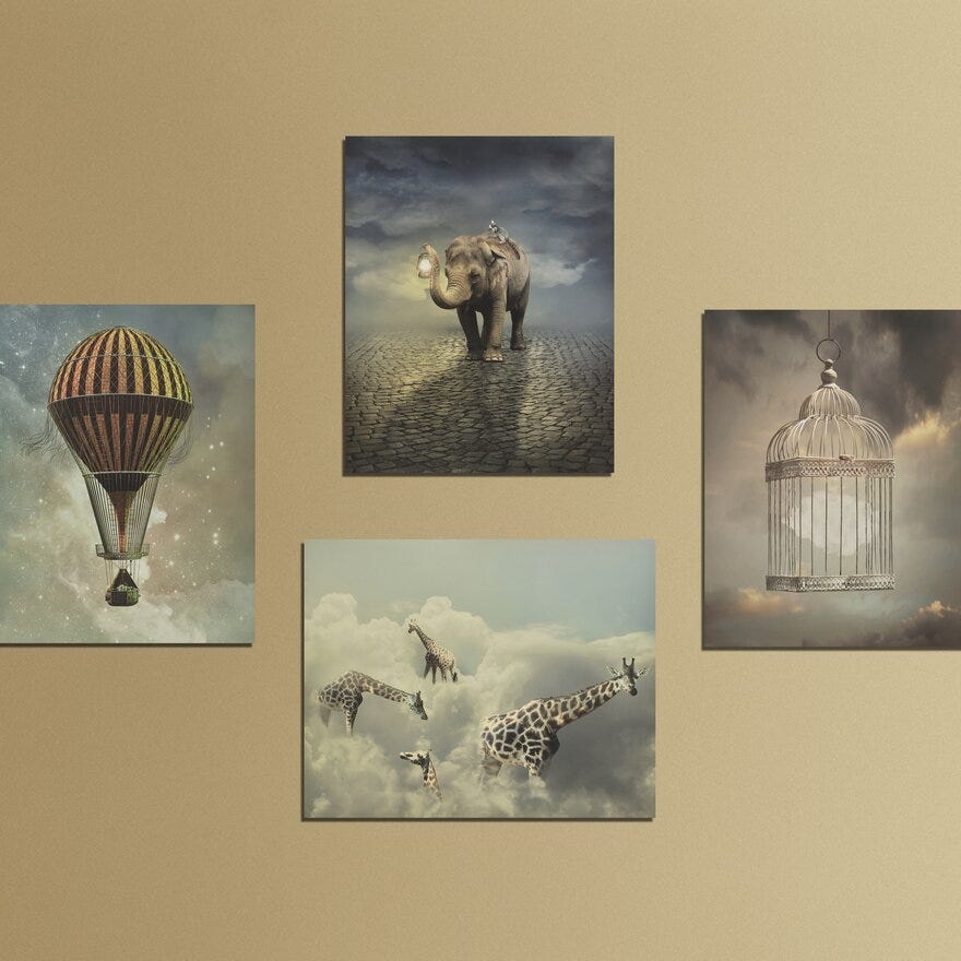 GIRAFFE Poster 40x50 cm i Hvit