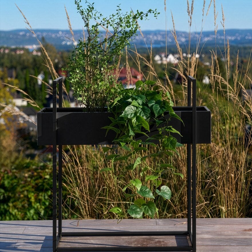 Sindig ASPELUND Blomsterkasse 30x80 cm i Svart