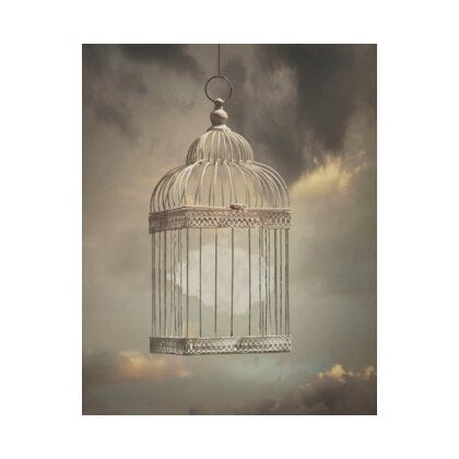 Birdcage poster 50x40