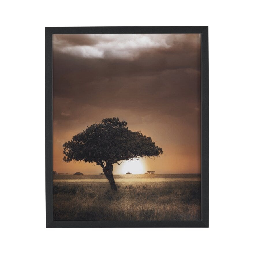 BONSAI TREE Poster 60x90 cm i Beige/natur