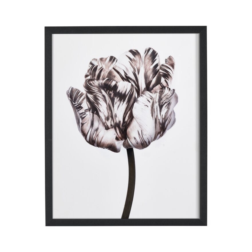 FIORE 1 Poster 40x50 cm i Brun