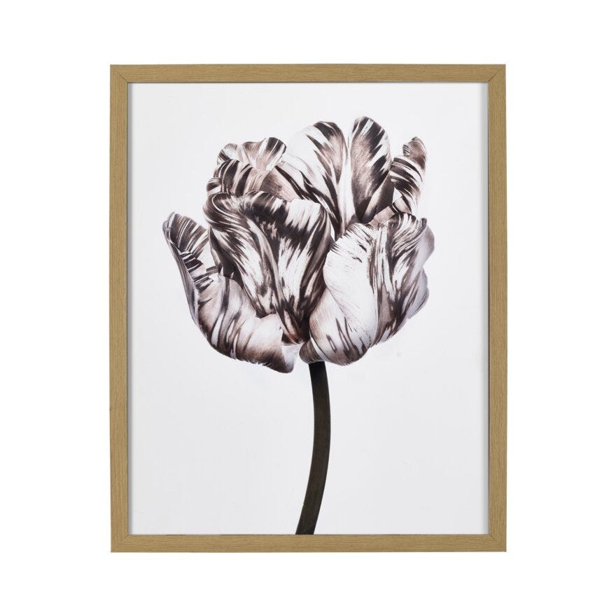 FIORE 1 Poster 40x50 cm i Brun