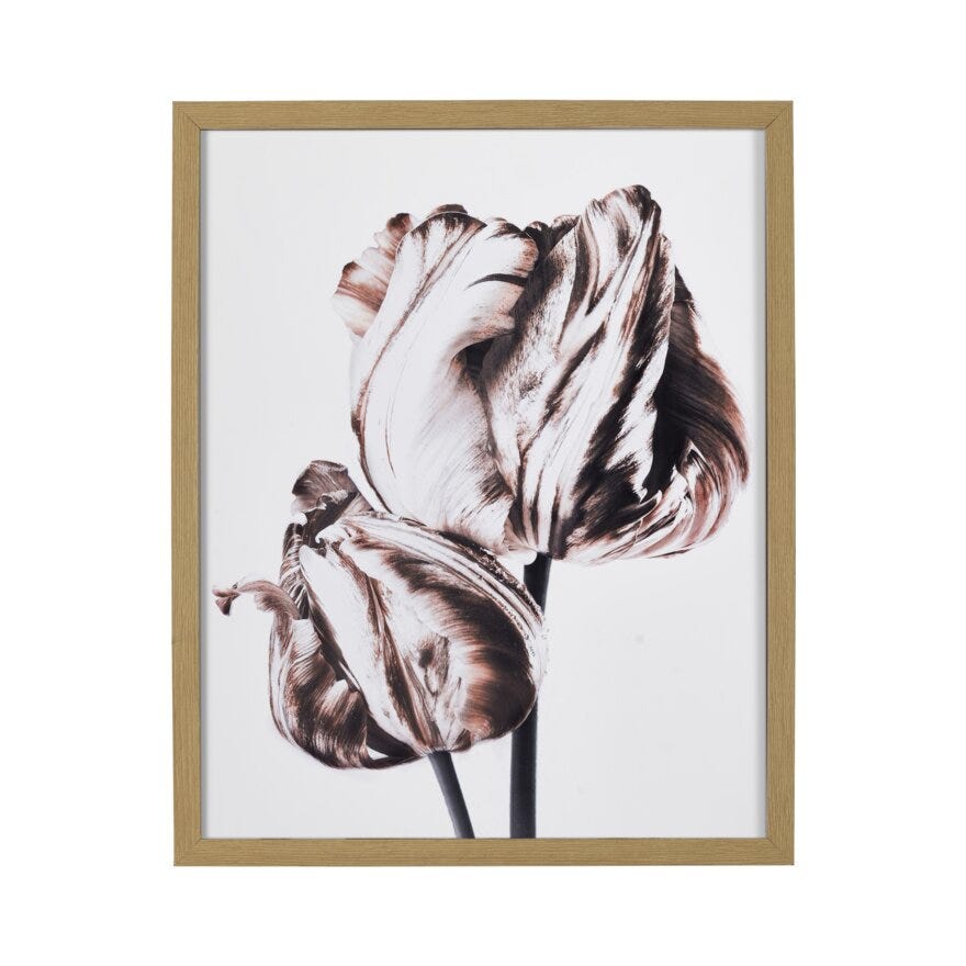 FIORE 2 Poster 40x50 cm i Brun