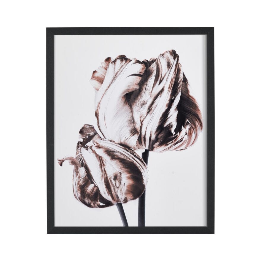 FIORE 2 Poster 40x50 cm i Brun