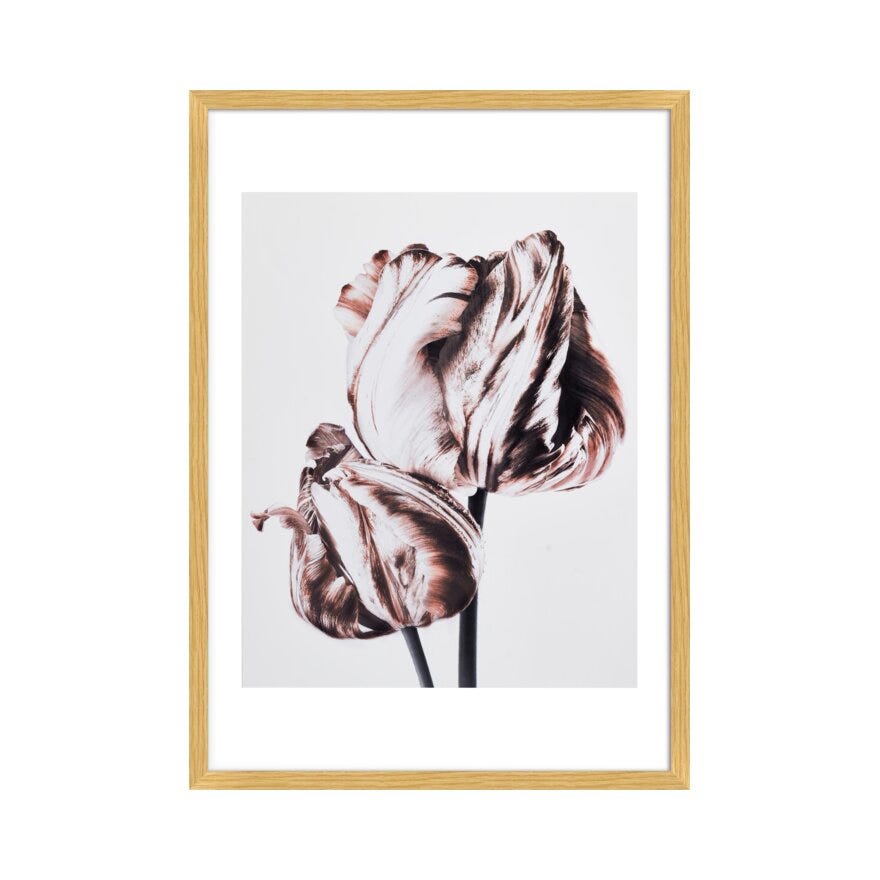FIORE 2 Poster 40x50 cm i Brun