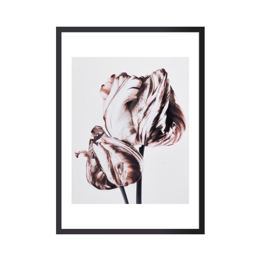 FIORE 2 Poster 40x50 cm i Brun