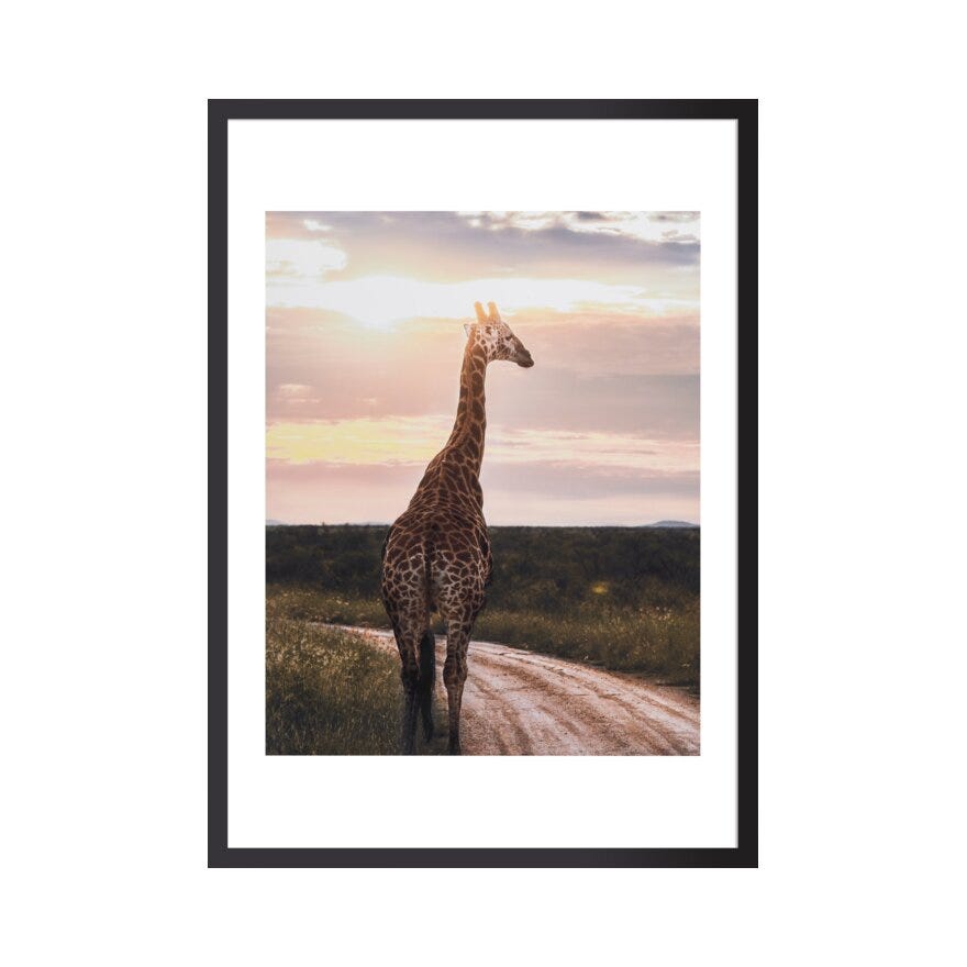 GIRAFFA Poster 40x50 cm i Grønn
