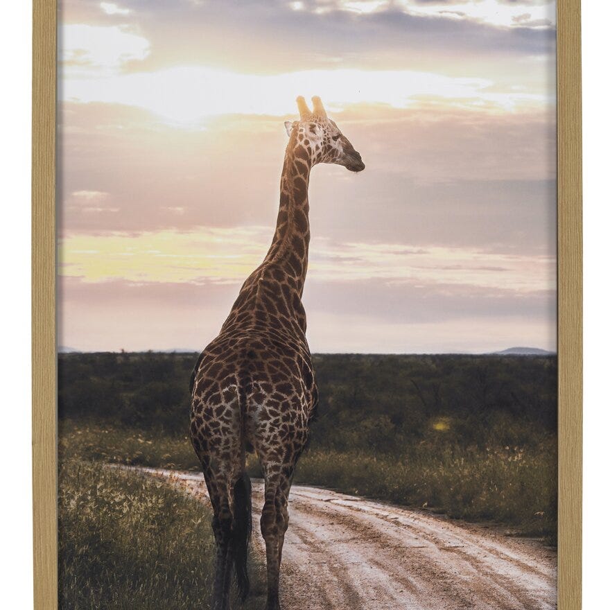 GIRAFFA Poster 40x50 cm i Grønn
