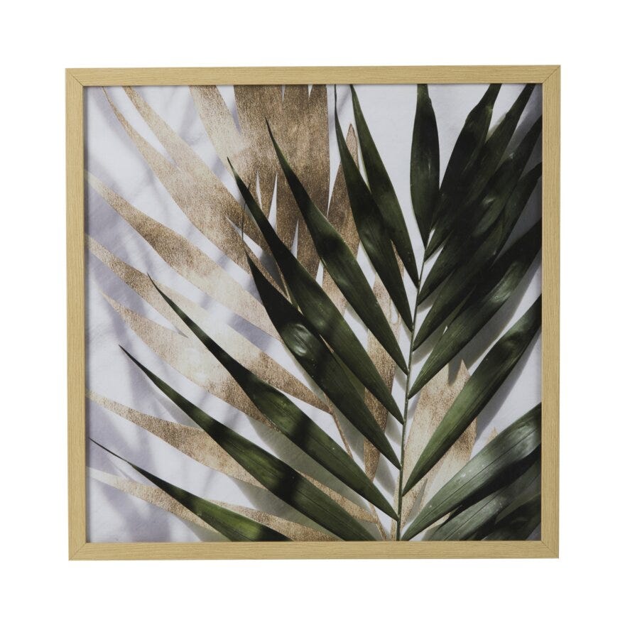 KENTIA LEAVES Poster 50x50 cm i Grønn