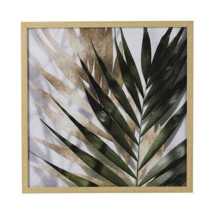 Kentia Leaves poster 50x50