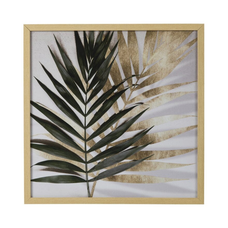 KENTIA LEAVES Poster 50x50 cm i Grønn