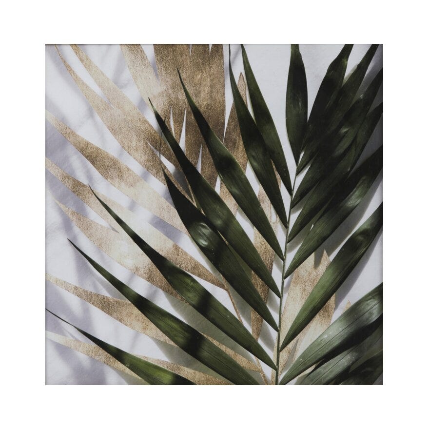 KENTIA LEAVES Poster 50x50 cm i Grønn