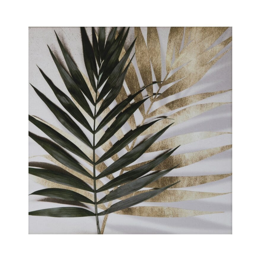 KENTIA LEAVES Poster 50x50 cm i Grønn