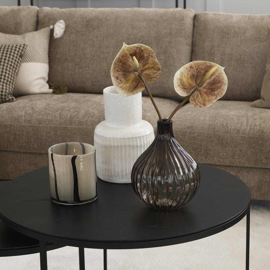 Mr Plant Anthurium