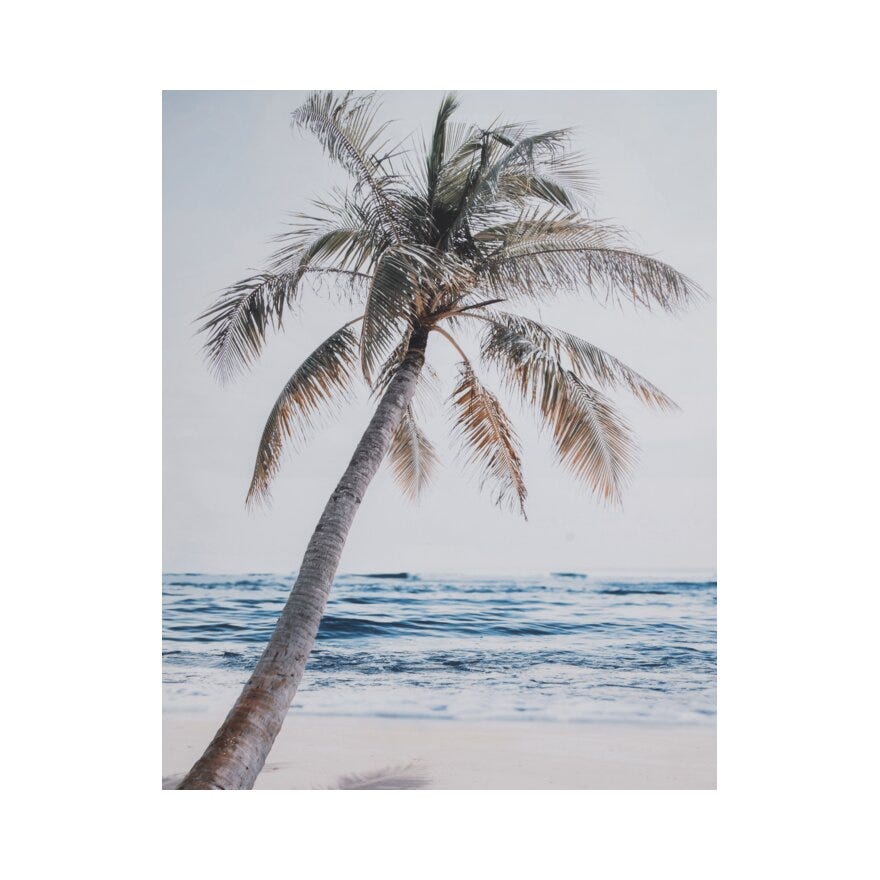 PALMTREE Poster 40x50 cm i Blå