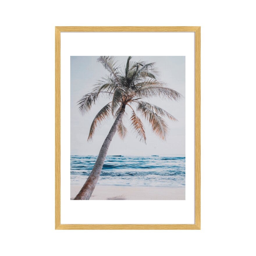 PALMTREE Poster 40x50 cm i Blå