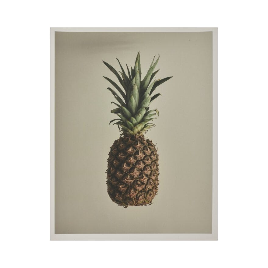 PINEAPPLE Poster 40x50 cm i Brun