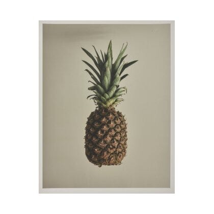 PINEAPPLE Poster 40x50 cm i Brun