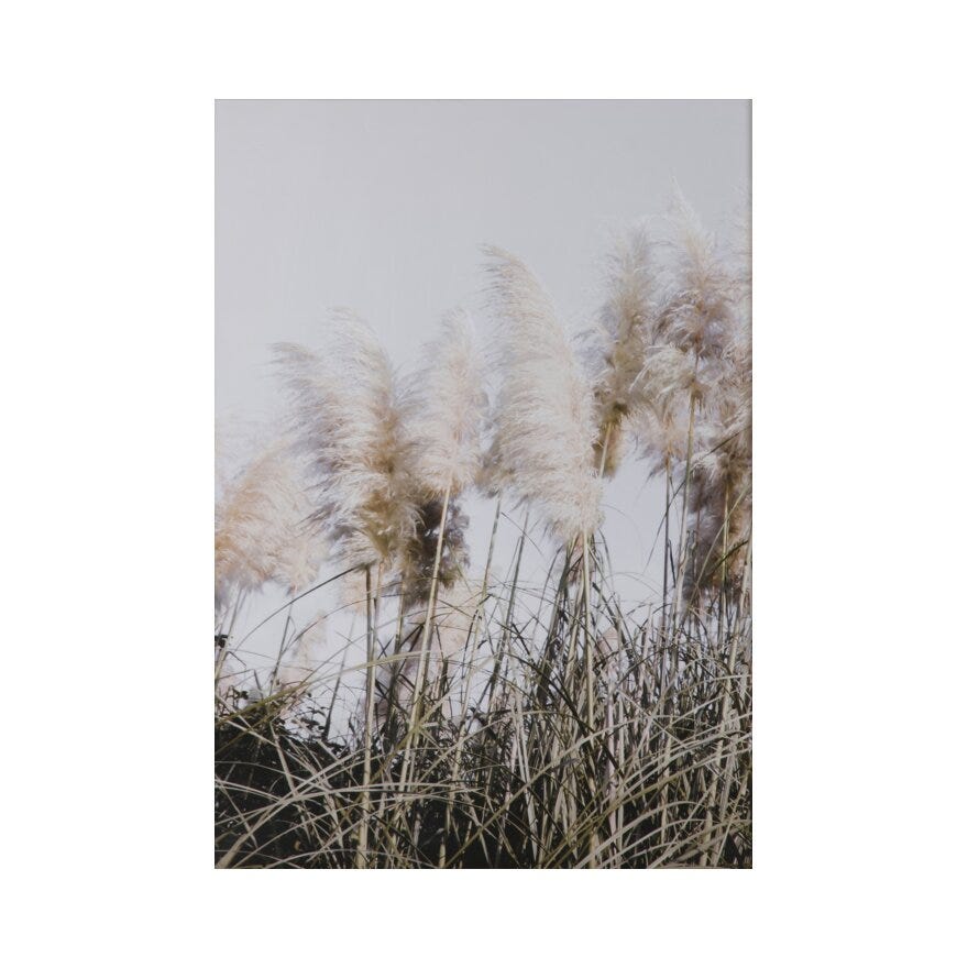STRAW Poster 50x70 cm i Beige/natur