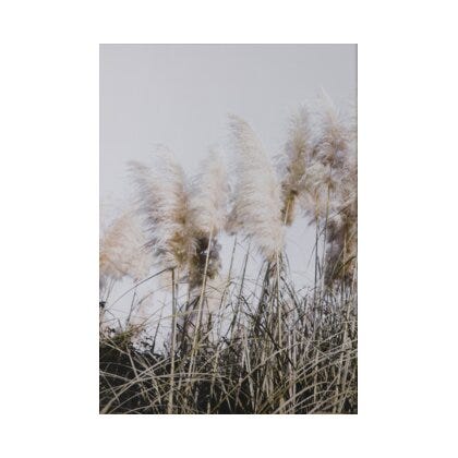 STRAW Poster 50x70 cm i Beige/natur