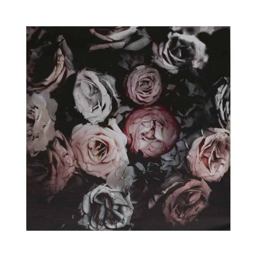 VINTAGE ROSES Poster 40x50 cm i Brun