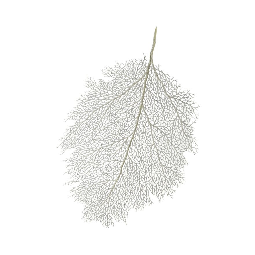 BETULA Bordbrikke 36x56 cm i Grå