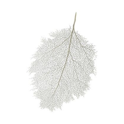 Betula bordbrikke 36x56